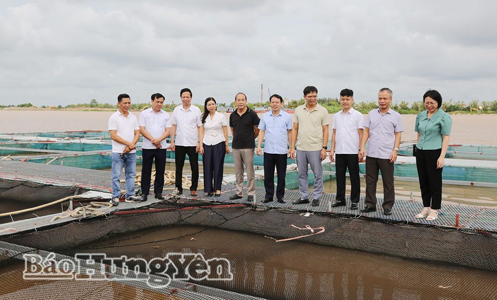 Tham quan, học tập mô hình sản xuất, kinh doanh tiêu biểu